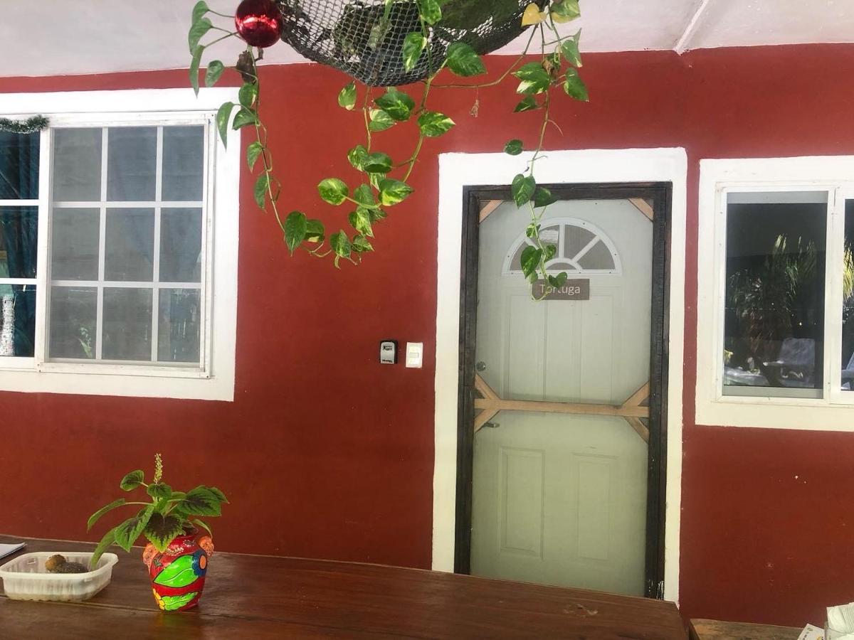 Habitacion Tortuga Casa Maria Bonita 埃尔库约 外观 照片