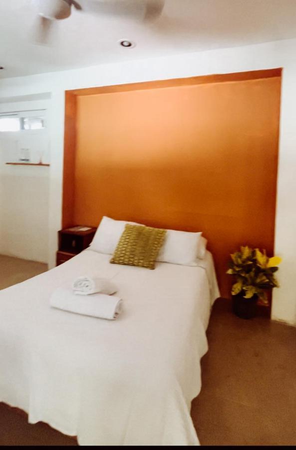 Habitacion Tortuga Casa Maria Bonita 埃尔库约 外观 照片