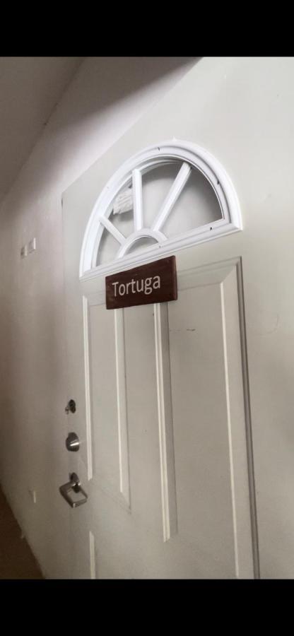 Habitacion Tortuga Casa Maria Bonita 埃尔库约 外观 照片